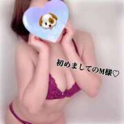 ヒメ日記 2025/03/17 18:11 投稿 れん 素人妻達☆マイふぇらレディー