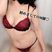 ヒメ日記 2025/03/30 13:15 投稿 れん 素人妻達☆マイふぇらレディー