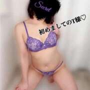 ヒメ日記 2025/03/31 19:11 投稿 れん 素人妻達☆マイふぇらレディー