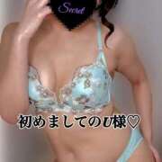 ヒメ日記 2025/07/23 07:30 投稿 れん 素人妻達☆マイふぇらレディー