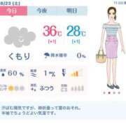 ヒメ日記 2025/08/23 11:38 投稿 れん 素人妻達☆マイふぇらレディー