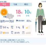 ヒメ日記 2025/11/14 12:16 投稿 れん 素人妻達☆マイふぇらレディー