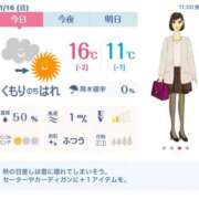 ヒメ日記 2025/11/16 13:15 投稿 れん 素人妻達☆マイふぇらレディー