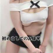 れん 1/17 初めましてのH様 クイーン405 素人妻達☆マイふぇらレディー