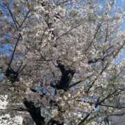 ヒメ日記 2026/04/06 16:48 投稿 三日月れい 密着ヌルヌル 高級やみつきエステ厚木店