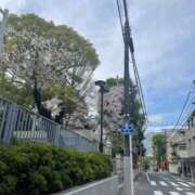 ヒメ日記 2026/04/29 15:38 投稿 三日月れい 密着ヌルヌル 高級やみつきエステ厚木店