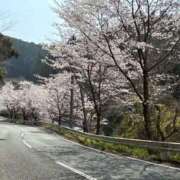 あやか 春だね🌸🌸💕︎ ポニーテール和歌山店