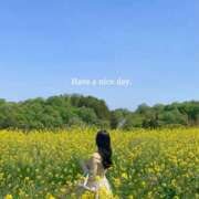 ヒメ日記 2025/04/09 06:30 投稿 未唯(みい) 可憐な妻たち 高崎店