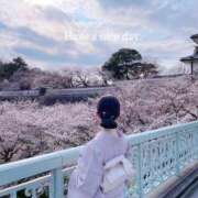 ヒメ日記 2025/04/27 06:30 投稿 未唯(みい) 可憐な妻たち 高崎店