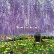 ヒメ日記 2025/05/07 06:30 投稿 未唯(みい) 可憐な妻たち 高崎店