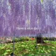 ヒメ日記 2025/05/08 06:30 投稿 未唯(みい) 可憐な妻たち 高崎店