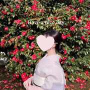 ヒメ日記 2025/05/14 06:30 投稿 未唯(みい) 可憐な妻たち 高崎店