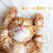 ヒメ日記 2025/06/11 06:30 投稿 未唯(みい) 可憐な妻たち 高崎店