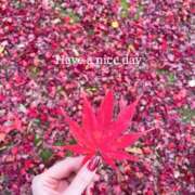 ヒメ日記 2025/11/20 06:30 投稿 未唯(みい) 可憐な妻たち 高崎店