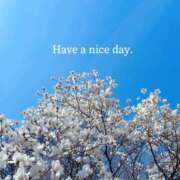 ヒメ日記 2026/03/29 06:30 投稿 未唯(みい) 可憐な妻たち 高崎店