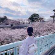 ヒメ日記 2026/04/18 06:30 投稿 未唯(みい) 可憐な妻たち 高崎店