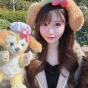 ゆる わん🐶💛 君を舐めたくて学園