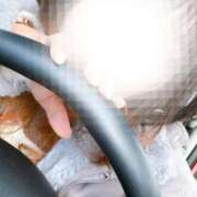 ヒメ日記 2025/01/15 14:03 投稿 陽日(はるひ) 可憐な妻たち 高崎店