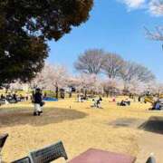 ヒメ日記 2025/04/07 23:23 投稿 陽日(はるひ) 可憐な妻たち 高崎店