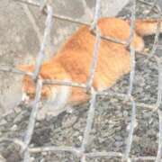 ヒメ日記 2025/06/04 23:39 投稿 陽日(はるひ) 可憐な妻たち 高崎店