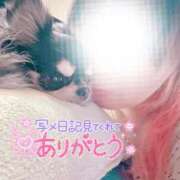 ヒメ日記 2025/06/25 22:47 投稿 陽日(はるひ) 可憐な妻たち 高崎店