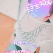 ヒメ日記 2025/09/28 10:12 投稿 陽日(はるひ) 可憐な妻たち 高崎店