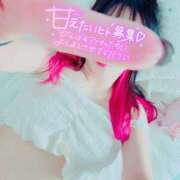 ヒメ日記 2025/11/11 23:13 投稿 陽日(はるひ) 可憐な妻たち 高崎店