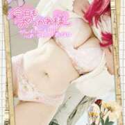 ヒメ日記 2025/11/23 23:38 投稿 陽日(はるひ) 可憐な妻たち 高崎店