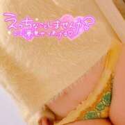 陽日(はるひ) お疲れ様です❤️ 可憐な妻たち 高崎店