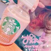 ヒメ日記 2026/02/07 10:16 投稿 陽日(はるひ) 可憐な妻たち 高崎店