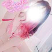 ヒメ日記 2026/02/09 23:01 投稿 陽日(はるひ) 可憐な妻たち 高崎店