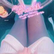 陽日(はるひ) なに…∑(꒪д꒪III)ｶﾞｰﾝ 可憐な妻たち 高崎店