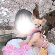 ヒメ日記 2026/03/30 21:20 投稿 陽日(はるひ) 可憐な妻たち 高崎店