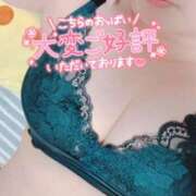 ヒメ日記 2026/04/13 23:17 投稿 陽日(はるひ) 可憐な妻たち 高崎店