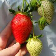 ヒメ日記 2025/02/23 21:16 投稿 遥(はるか) 可憐な妻たち 高崎店