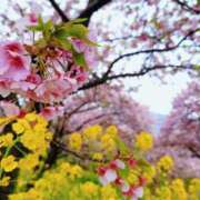 ヒメ日記 2025/03/15 22:05 投稿 遥(はるか) 可憐な妻たち 高崎店