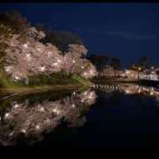 ヒメ日記 2025/04/11 18:40 投稿 遥(はるか) 可憐な妻たち 高崎店