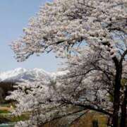 ヒメ日記 2025/05/02 15:06 投稿 遥(はるか) 可憐な妻たち 高崎店