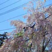 ヒメ日記 2025/05/16 23:09 投稿 遥(はるか) 可憐な妻たち 高崎店