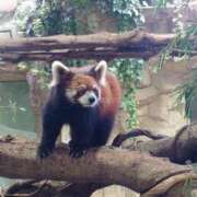 ヒメ日記 2025/06/17 22:19 投稿 遥(はるか) 可憐な妻たち 高崎店