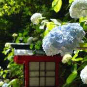 ヒメ日記 2025/06/30 21:50 投稿 遥(はるか) 可憐な妻たち 高崎店