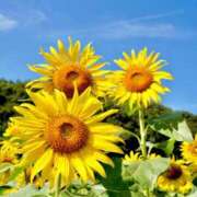 ヒメ日記 2025/08/02 10:09 投稿 遥(はるか) 可憐な妻たち 高崎店