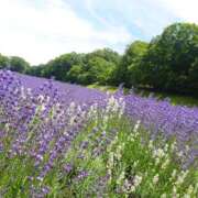 ヒメ日記 2025/08/10 20:06 投稿 遥(はるか) 可憐な妻たち 高崎店