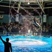 ヒメ日記 2025/08/19 22:53 投稿 遥(はるか) 可憐な妻たち 高崎店