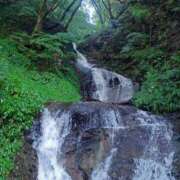 ヒメ日記 2025/10/06 21:38 投稿 遥(はるか) 可憐な妻たち 高崎店