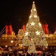 ヒメ日記 2025/11/28 22:15 投稿 遥(はるか) 可憐な妻たち 高崎店