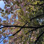 ヒメ日記 2026/04/01 21:22 投稿 天野みなみ 乳ビーナス(New Venus)