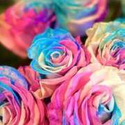 華恋(かれん) Like a flower 可憐な妻たち 高崎店