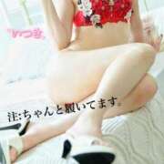 ヒメ日記 2025/02/05 06:38 投稿 樹希(いつき) 可憐な妻たち 高崎店