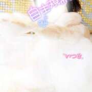 ヒメ日記 2025/02/12 07:24 投稿 樹希(いつき) 可憐な妻たち 高崎店